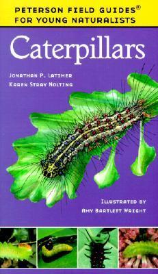 Caterpillars book cover