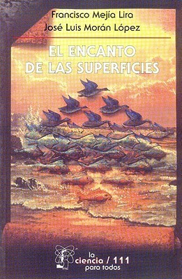 El encanto de las superficies book cover