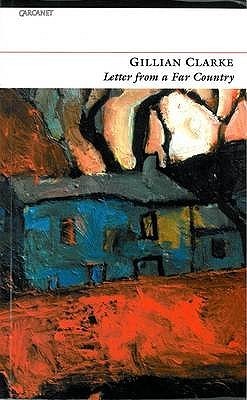 Letter from a Far Country book cover