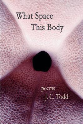 What Space This Body book cover