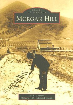 Morgan Hill book cover