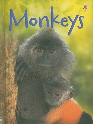Monkeys book cover