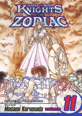 Knights of the Zodiac, Vol. 11 book cover
