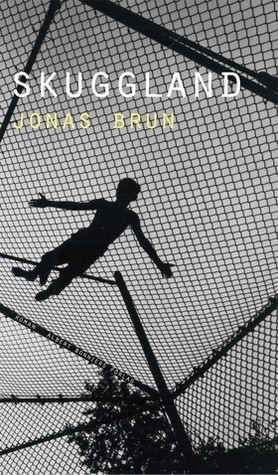 Skuggland book cover