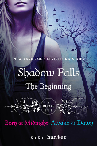 The Beginning book cover