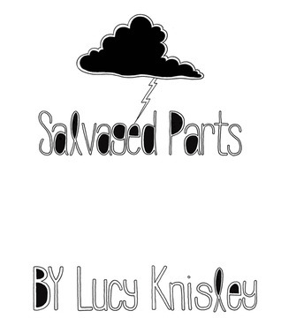 Salvaged Parts book cover