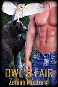 Owl's Fair book cover