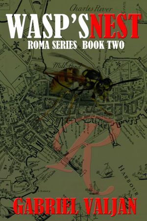 Wasp's Nest book cover