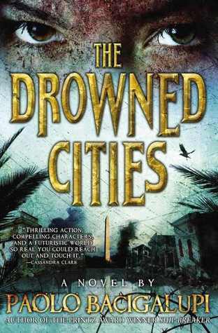 The Drowned Cities (Ship Breaker, #2)