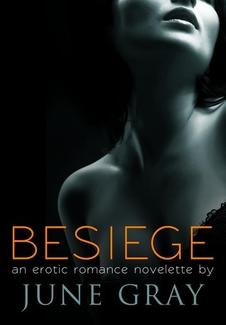 Besiege book cover