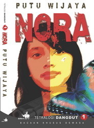 Nora book cover