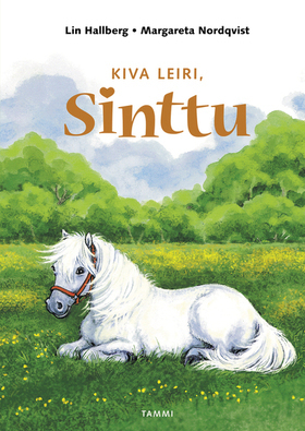 Kiva leiri, Sinttu book cover