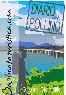 Diario del Pollino book cover