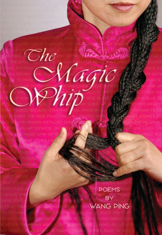 The Magic Whip book cover