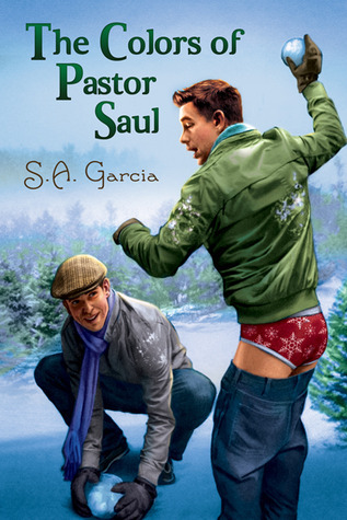 The Colors of Pastor Saul book cover