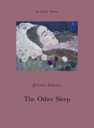 The Other Sleep book cover