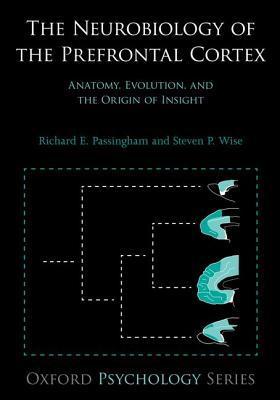 The Neurobiology of the Prefrontal Cortex book cover