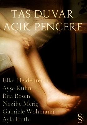 Taş Duvar Açık Pencere book cover