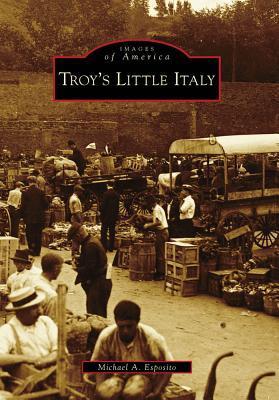 Troy's Little Italy book cover
