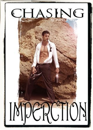 Chasing book cover 2