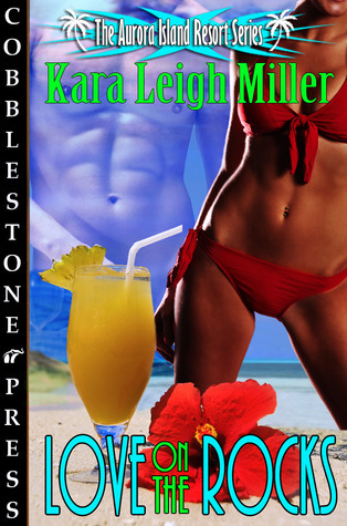 The Aurora Island Resort Series book cover 2
