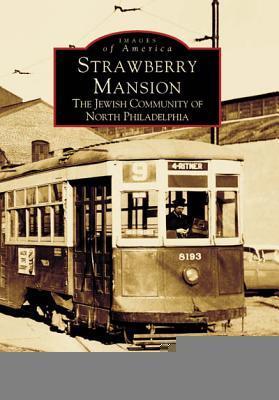 Strawberry Mansion book cover