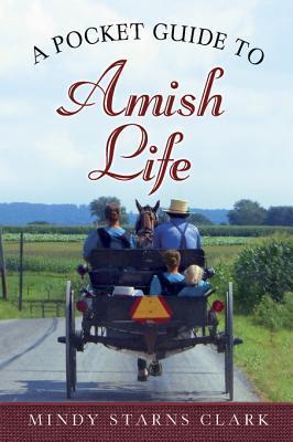 A Pocket Guide to Amish Life book cover