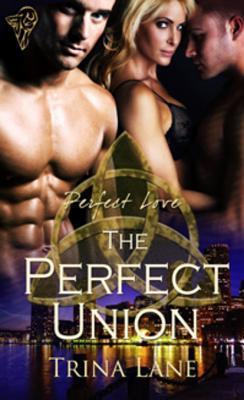 The Perfect Union book cover