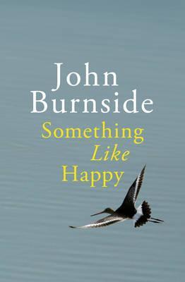 Something Like Happy book cover