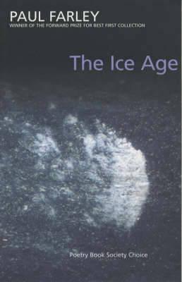 The Ice Age book cover