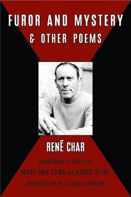 Furor & Mystery and Other Writings book cover