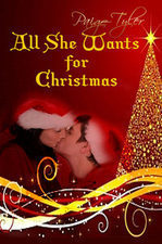 All She Wants For Christmas book cover