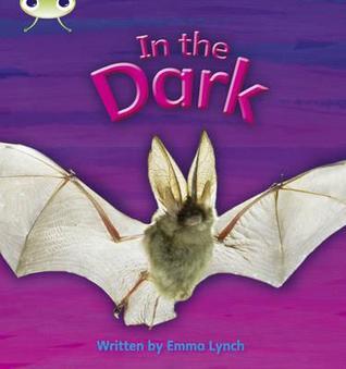 In the Dark: Set 10: Bug Club Phonics Bug Non-fiction Set 10 In the Dark Non-Fiction