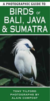 A Photographic Guide to Birds of Bali, Java and Sumatra by Tony Tilford ...