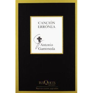 Canción Errónea