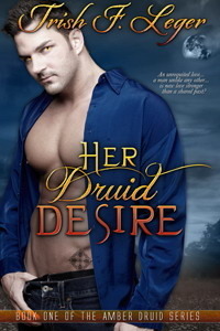 The Amber Druid Series book cover 1