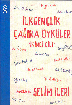 İlkgençlik Çağına Öyküler 2 book cover