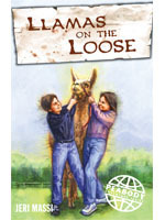 Llamas on the Loose