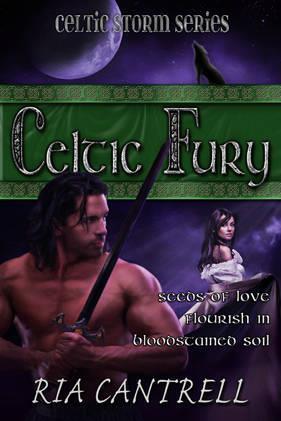 Celtic Storm book cover 1