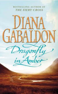 Dragonfly in Amber (Outlander, #2)