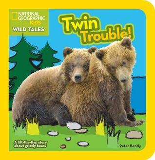 Twin Trouble book cover