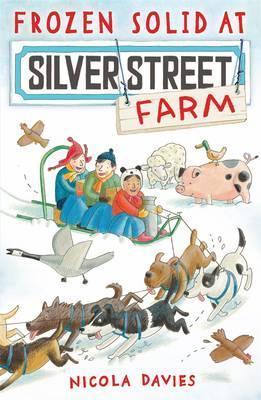 Frozen Solid at Silver Street Farm book cover