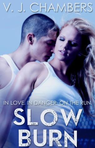 Slow Burn book cover