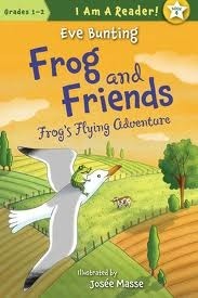 Frog's Flying Adventure book cover