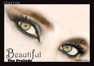 Chasing Beautiful book cover