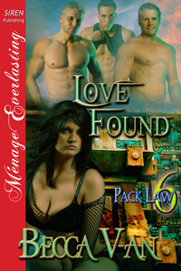 Love Found book cover