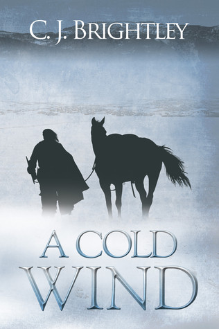 A Cold Wind book cover