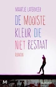 De mooiste kleur die niet bestaat book cover