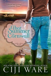 That Summer in Cornwall (Four Seasons Quartet, #1)