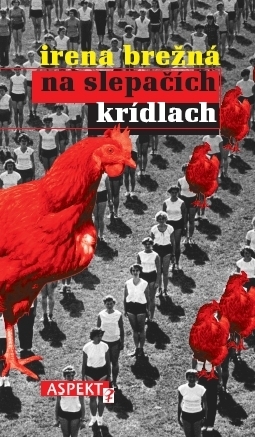 Na slepačích krídlach book cover